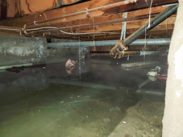 Best Residential water damage restoration  in Ashland, MO