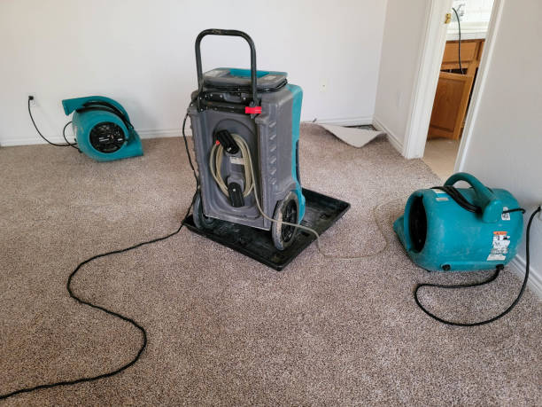 Best Flooded house restoration  in Ashland, MO