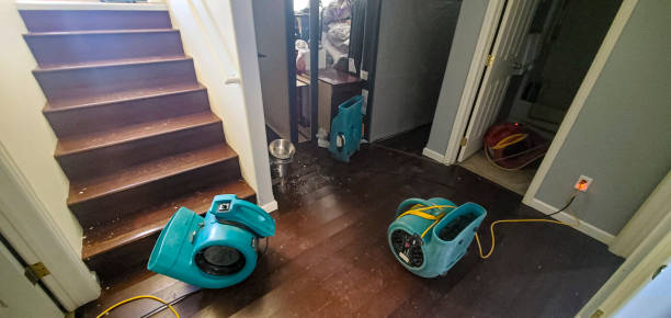 Best Water damage contractors near me  in Ashland, MO