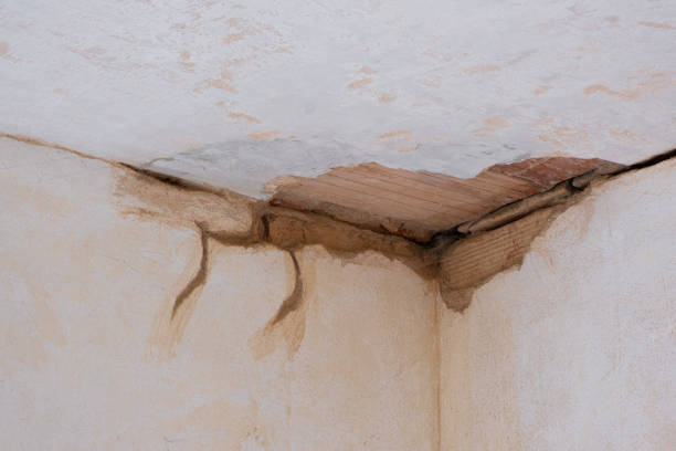 Best Water damage cleanup near me  in Ashland, MO