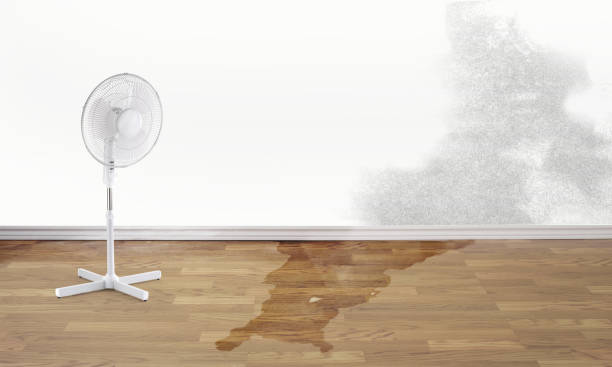 Best Emergency water damage restoration  in Ashland, MO