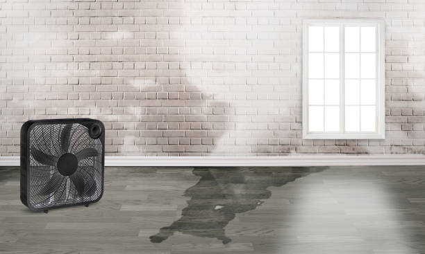 Best Emergency water damage restoration  in Ashland, MO