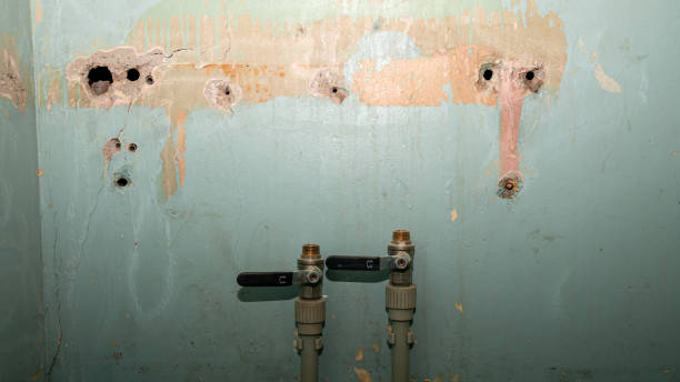 Best Mold removal after water damage  in Ashland, MO
