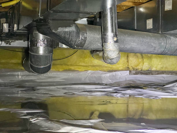 Best Water damage contractors near me  in Ashland, MO