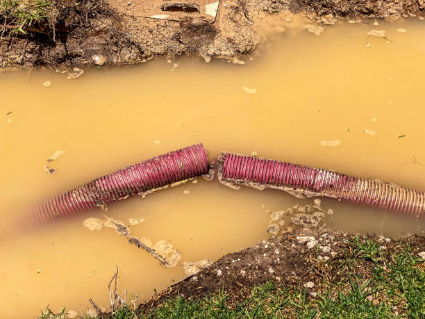 Best Water damage restoration near me  in Ashland, MO